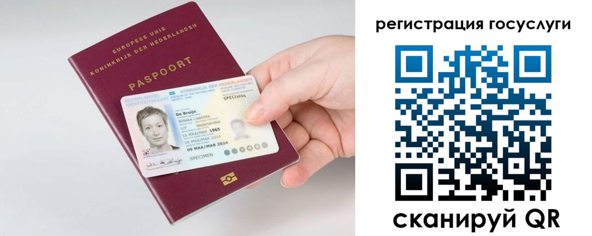 регистрация для дет. сада в Сясьстрое